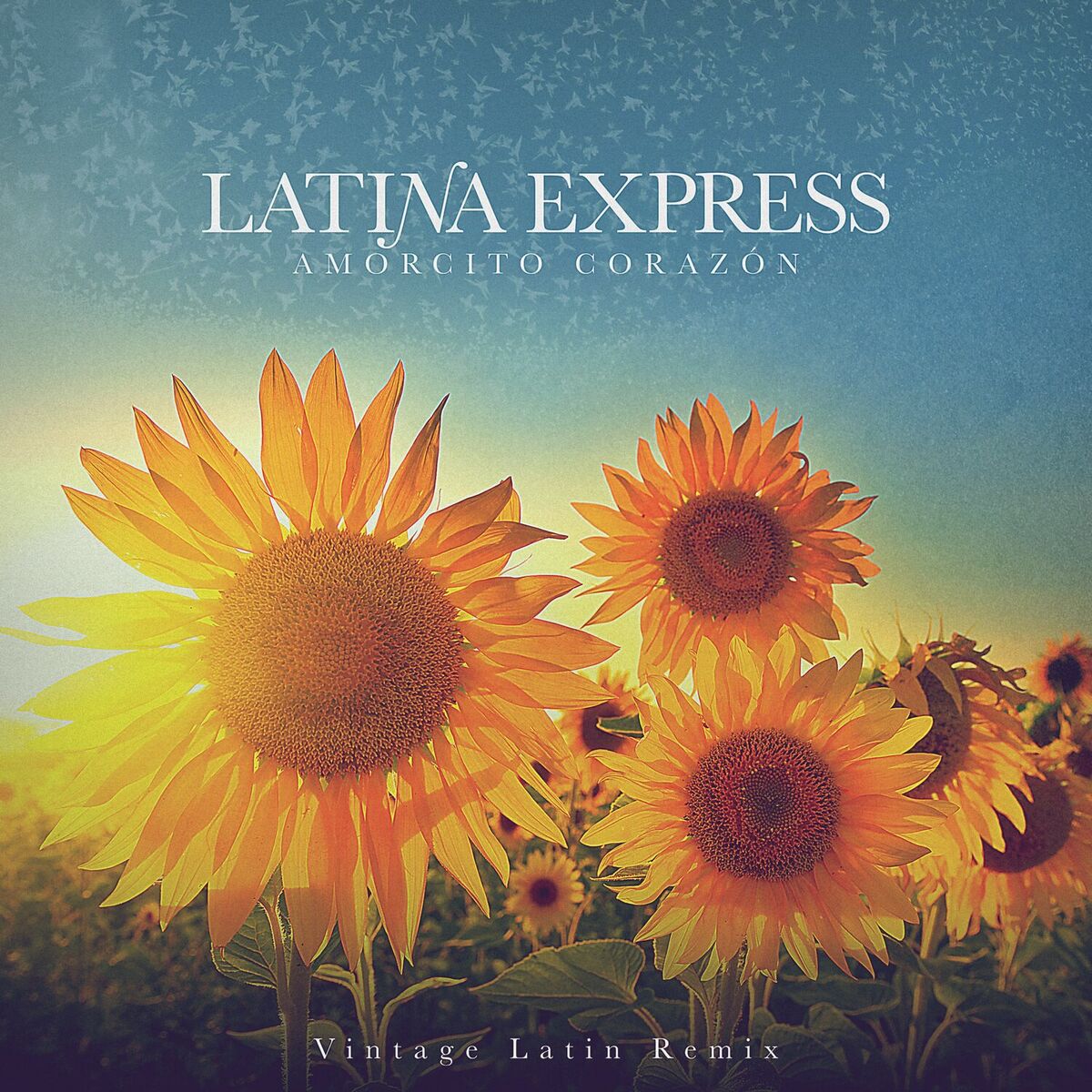 Album cover of Amorcito Corazón