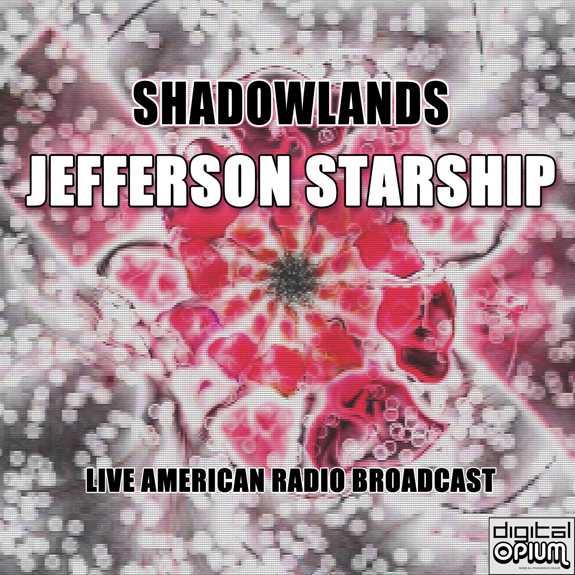 Album cover of Shadowlands (Live)