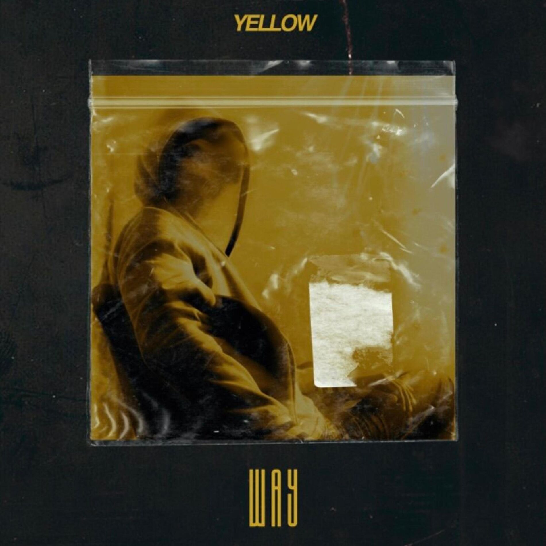 Album cover of WAY