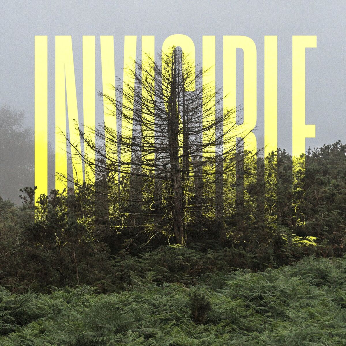 Album cover of Respite