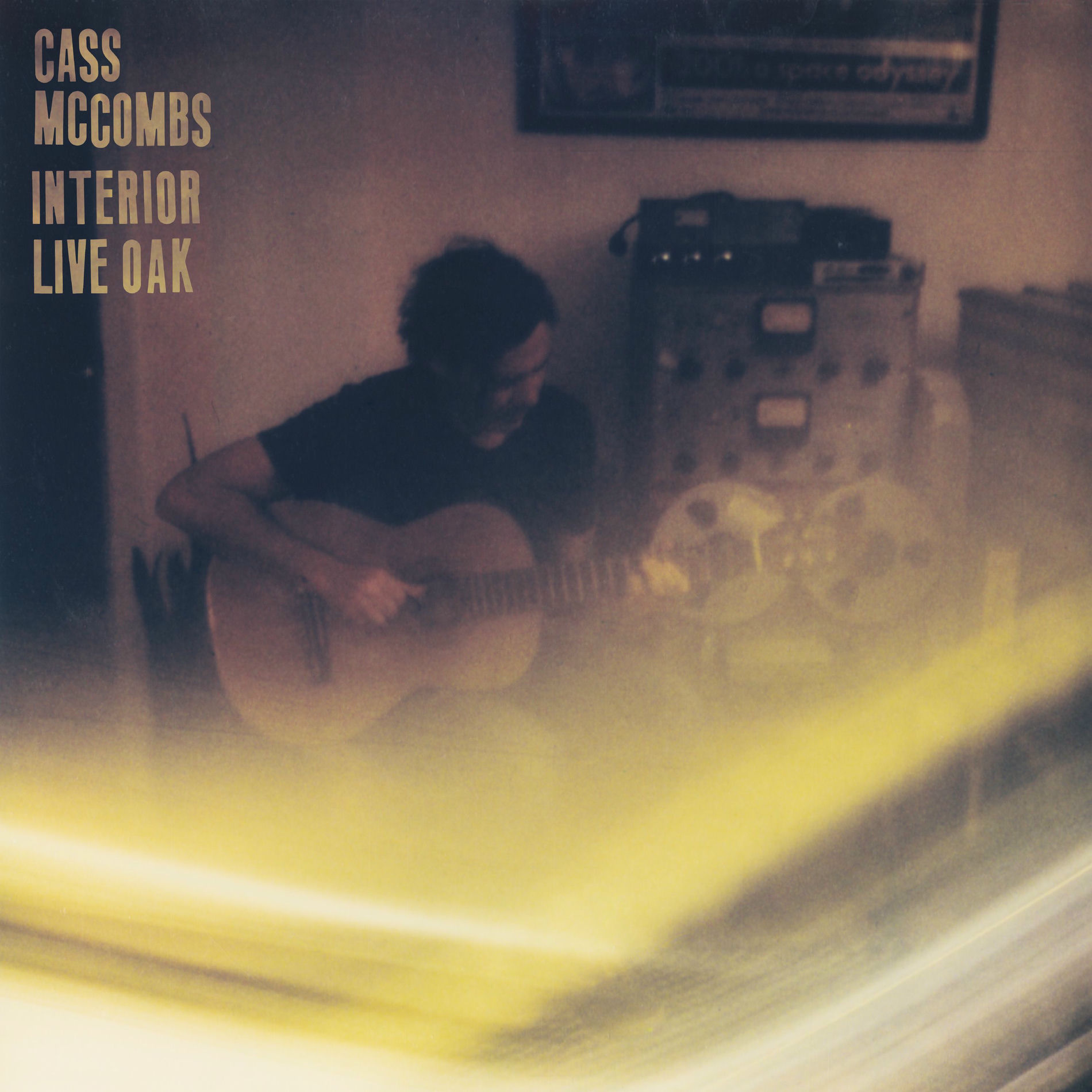 Album cover of Interior Live Oak
