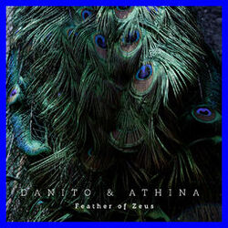 Cover of Feather of Zeus