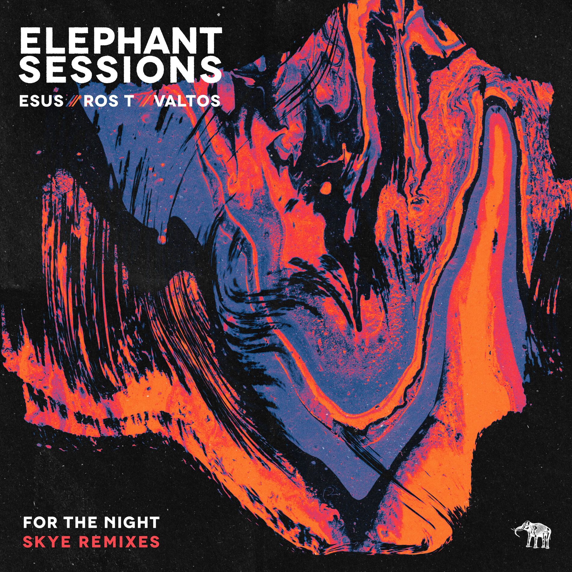 Album cover of For the Night (Skye Remixes)