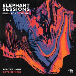 Cover of For the Night (Skye Remixes)