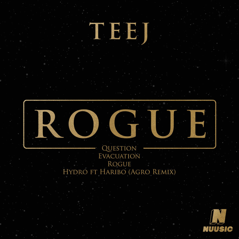 Picture of Rogue
