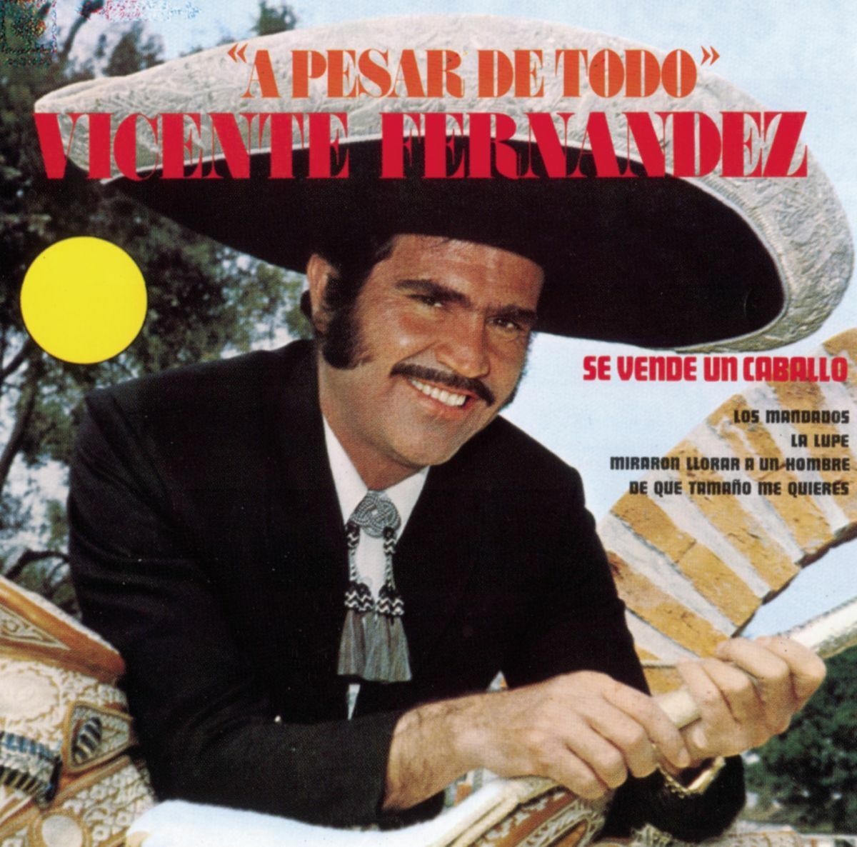 Album cover of A Pesar de Todo