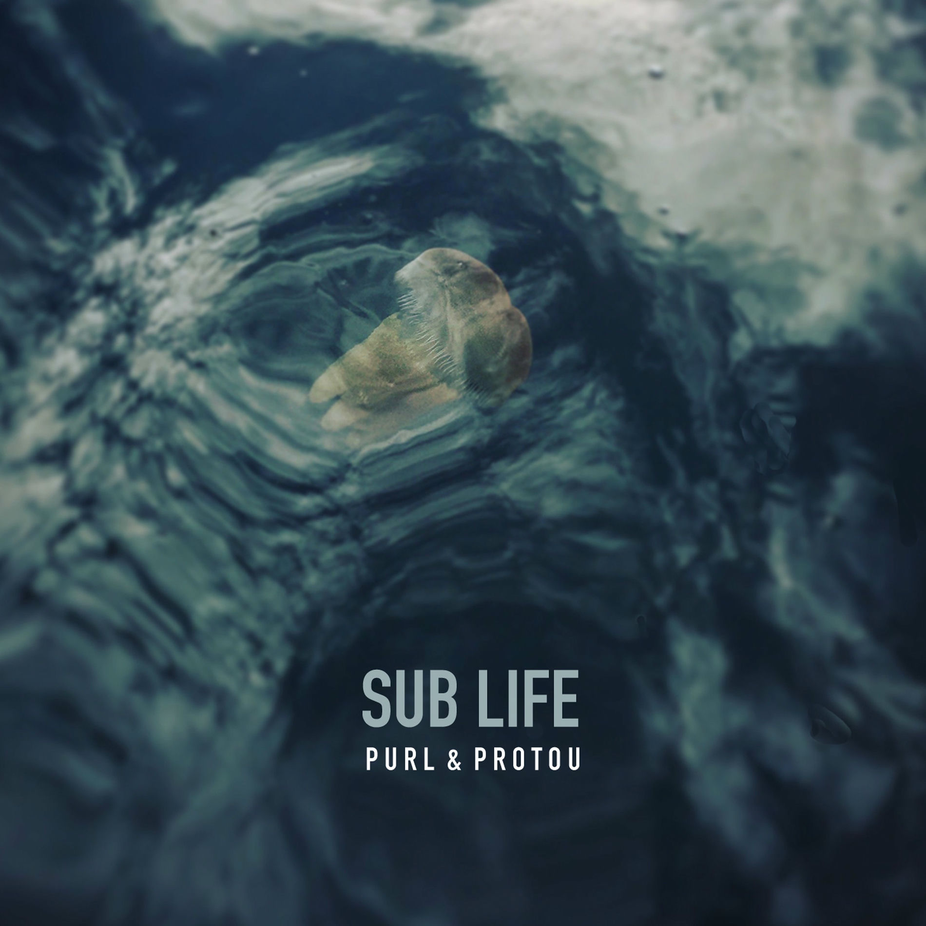 Album cover of Sub Life
