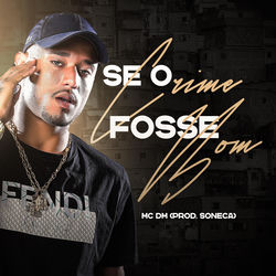 Cover of SE O CRIME FOSSE BOM by undefined