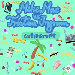 Cover of Cupid Stunt