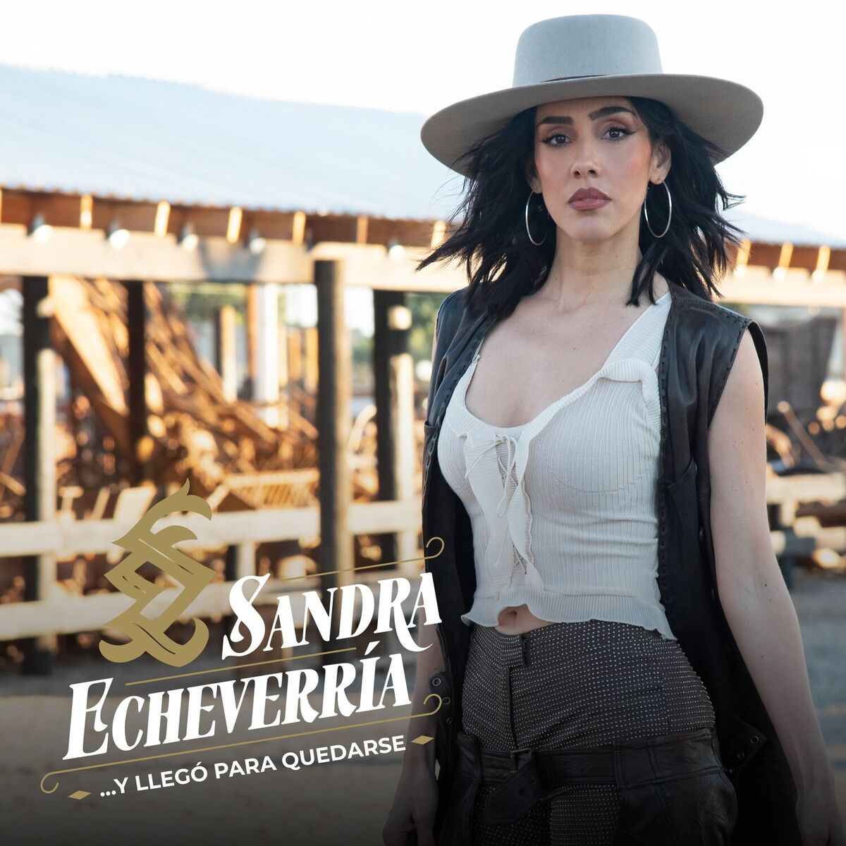Album cover of ...Y Llegó Para Quedarse