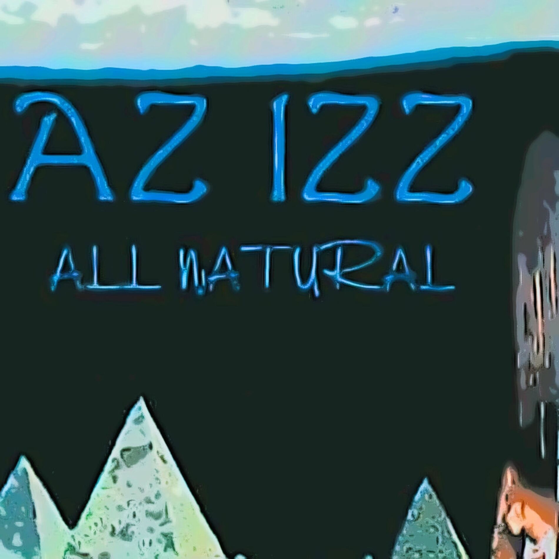 Album cover of All Natural