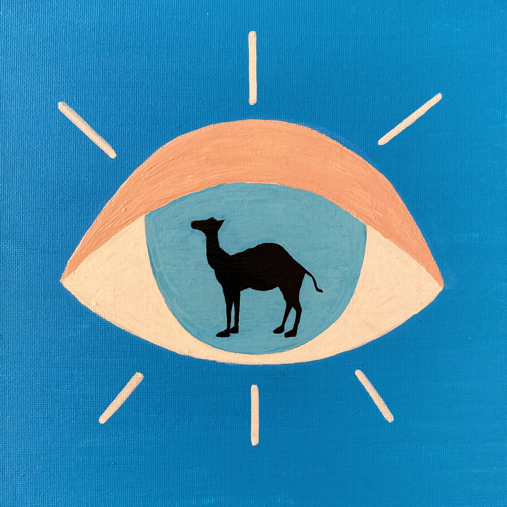 Camel синий
