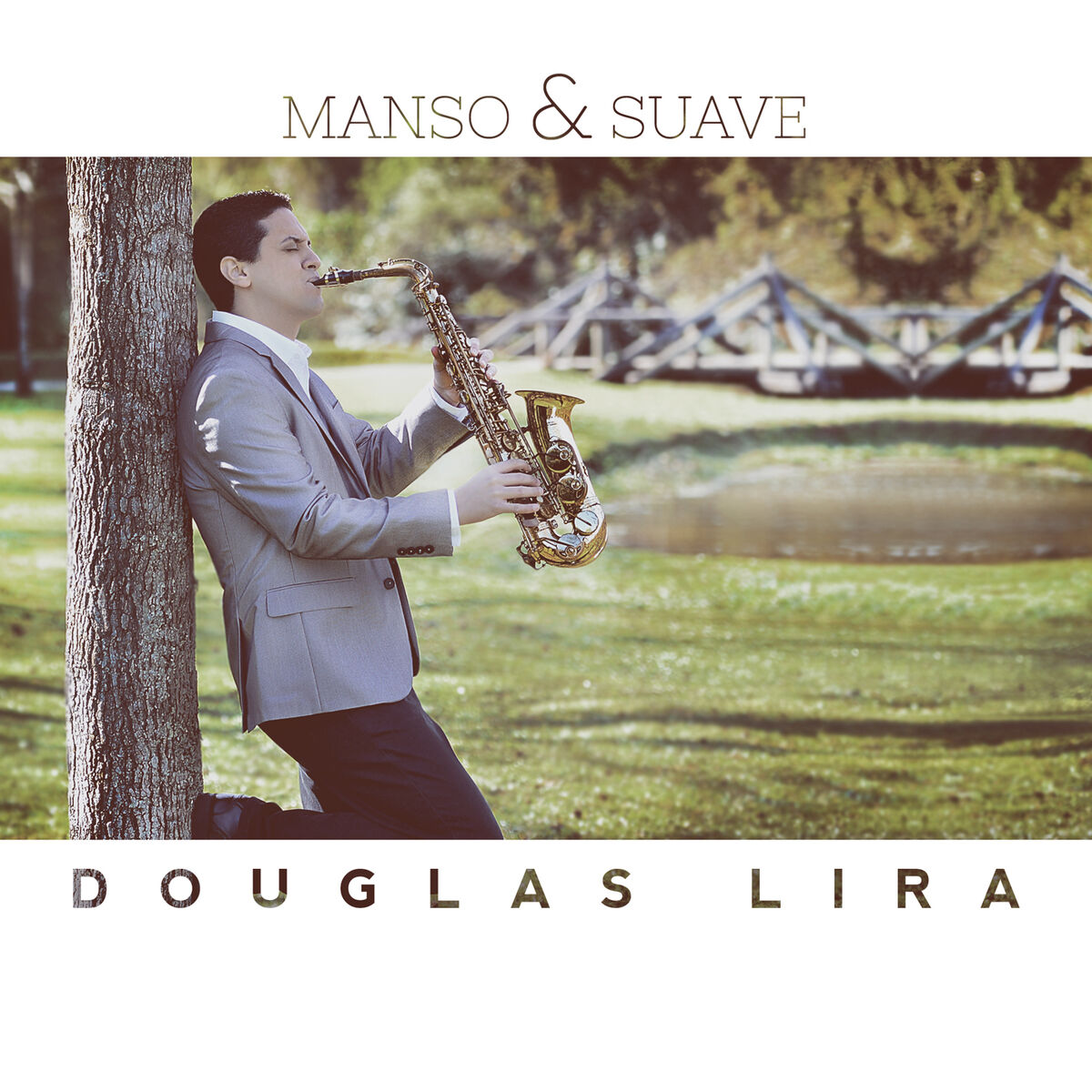 Album cover of Manso e Suave