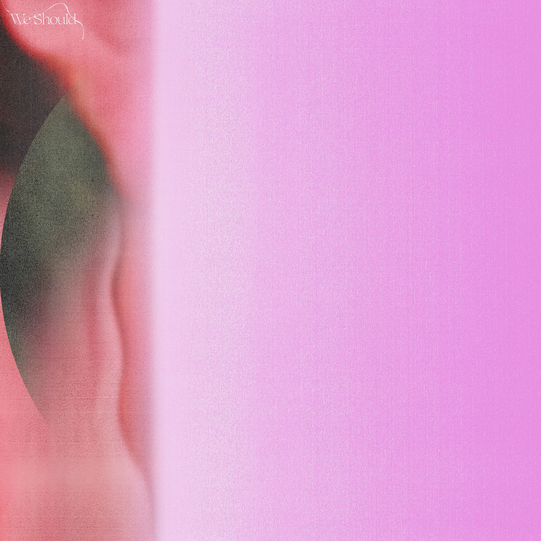 Album cover of We Should