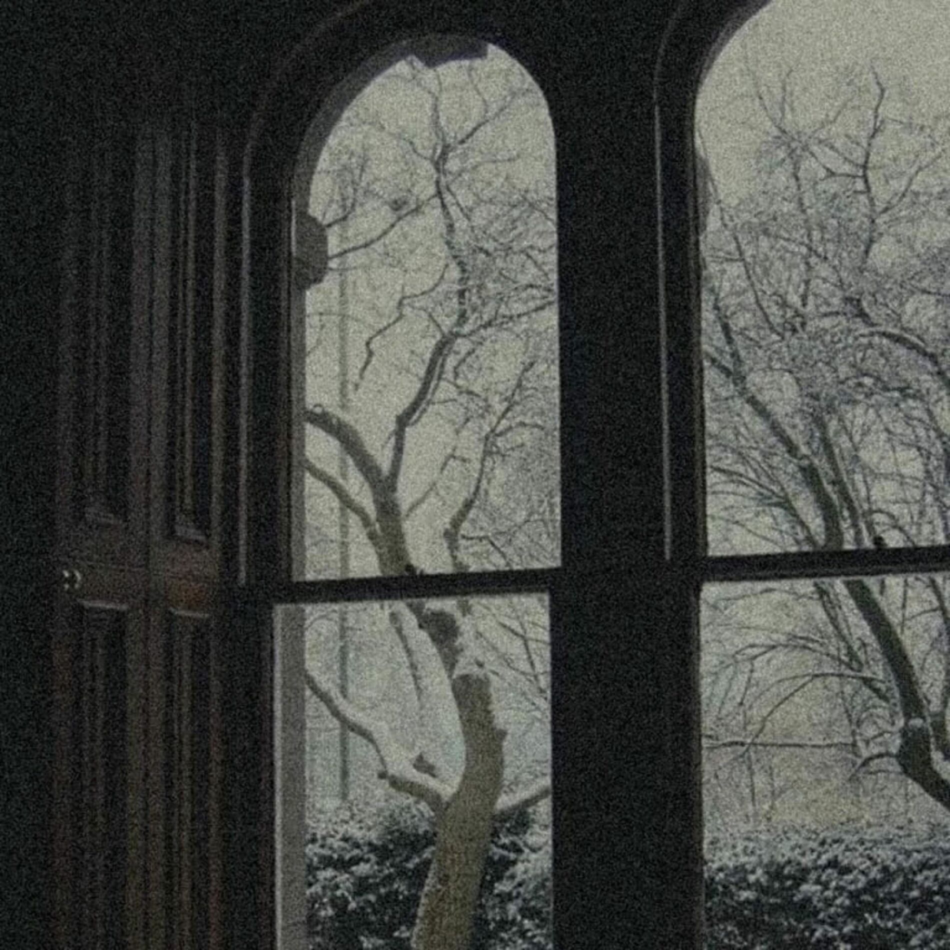Album cover of grief