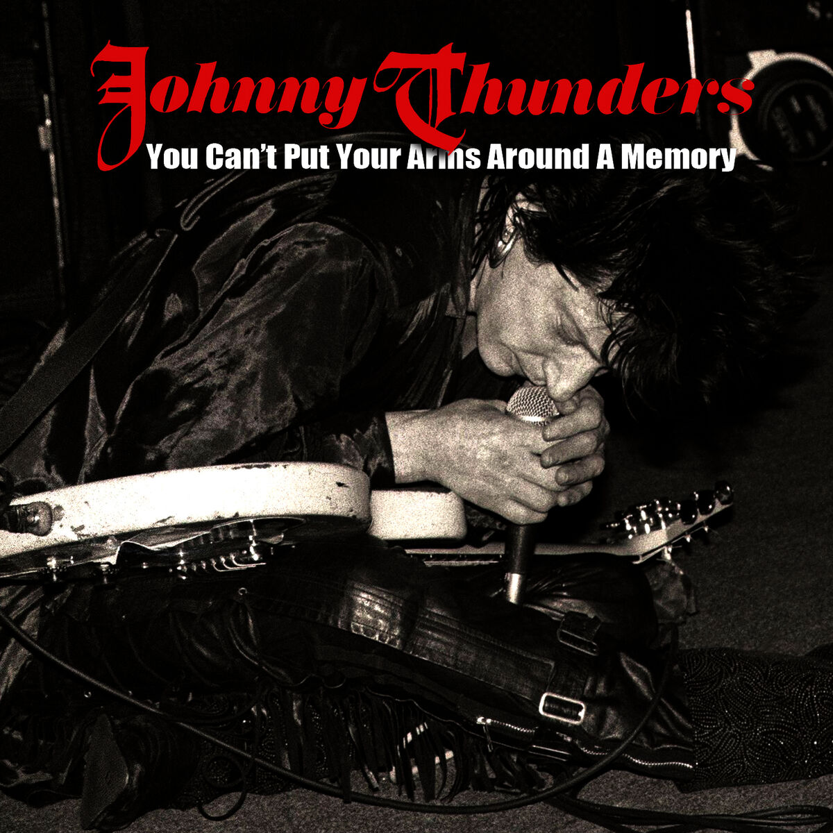Album cover of You Can't Put Your Arms Around A Memory (Rare Version)