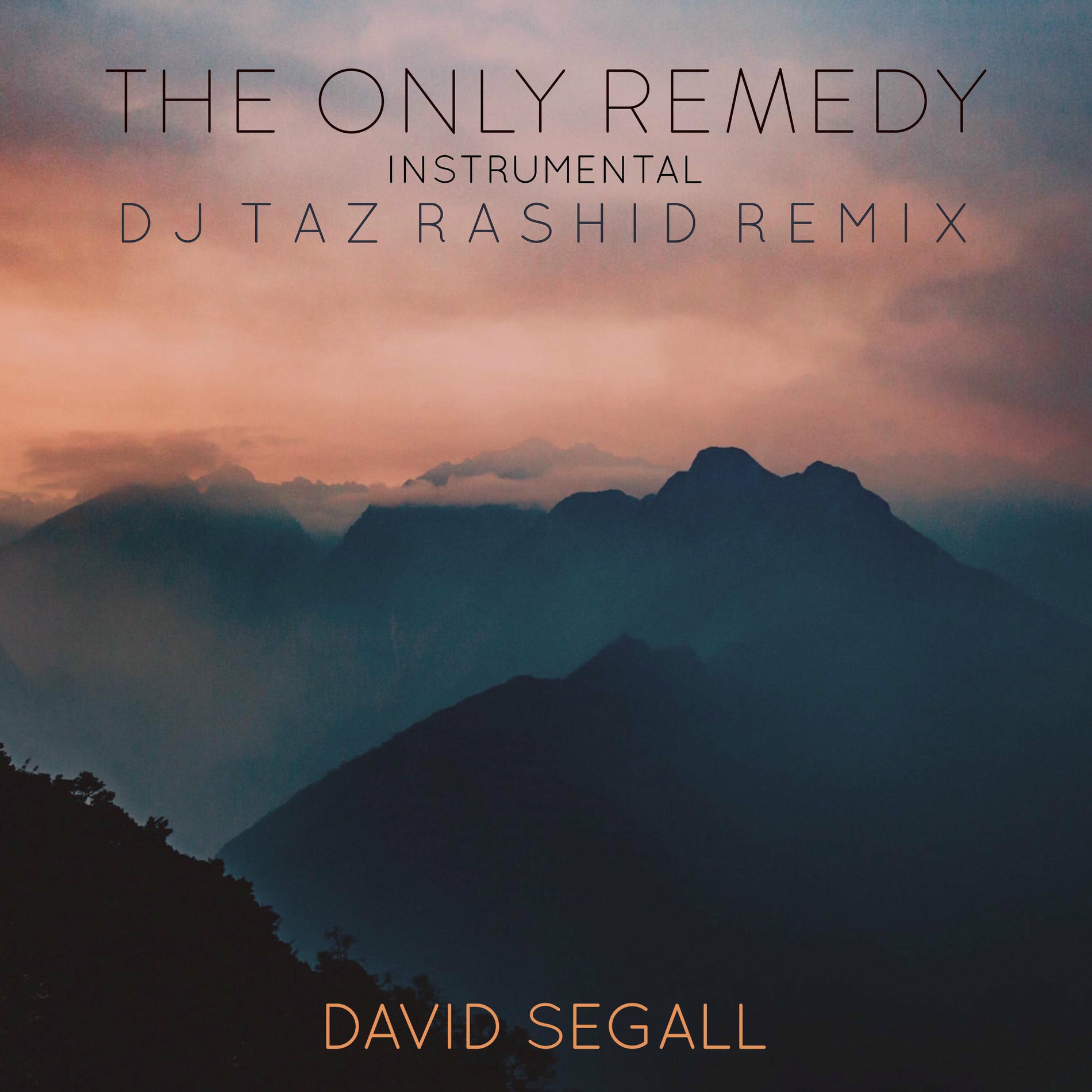 Album cover of The Only Remedy (DJ Taz Rashid Remix)[Instrumental]