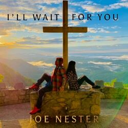Cover of I'll Wait For You
