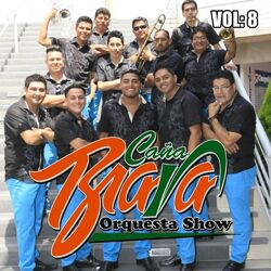 Cover of Vol.8