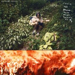 Cover of Never Coming Home