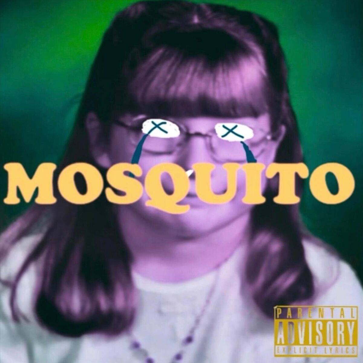 Album cover of Mosquito