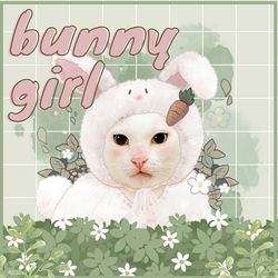 Bunny Girl - Slower Version