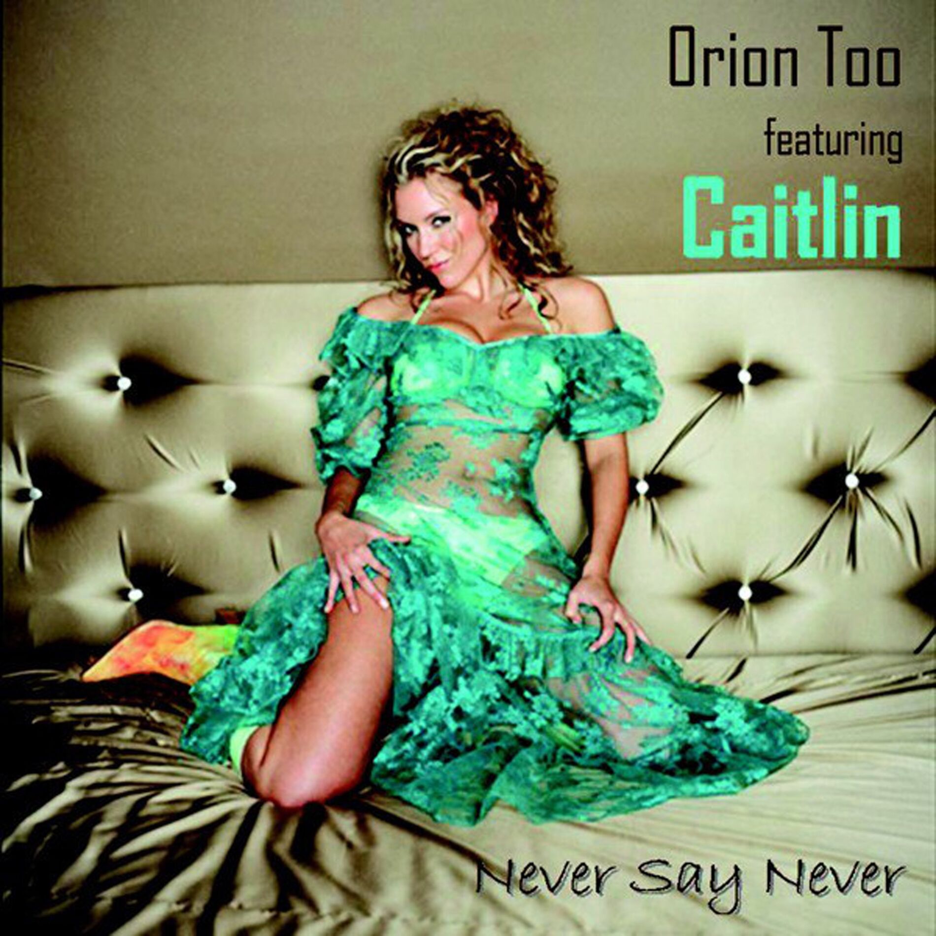 Album cover of Never Say Never