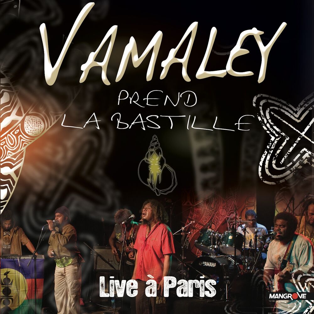 Picture of Vamaley prend la Bastille (Live à Paris)