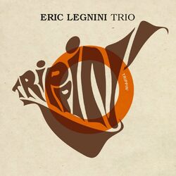 Cover of Trippin'