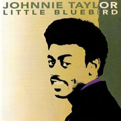 Cover of Little Bluebird