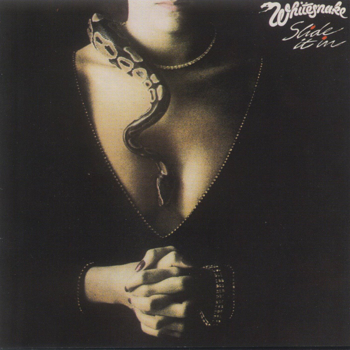 Album cover of Slide It In