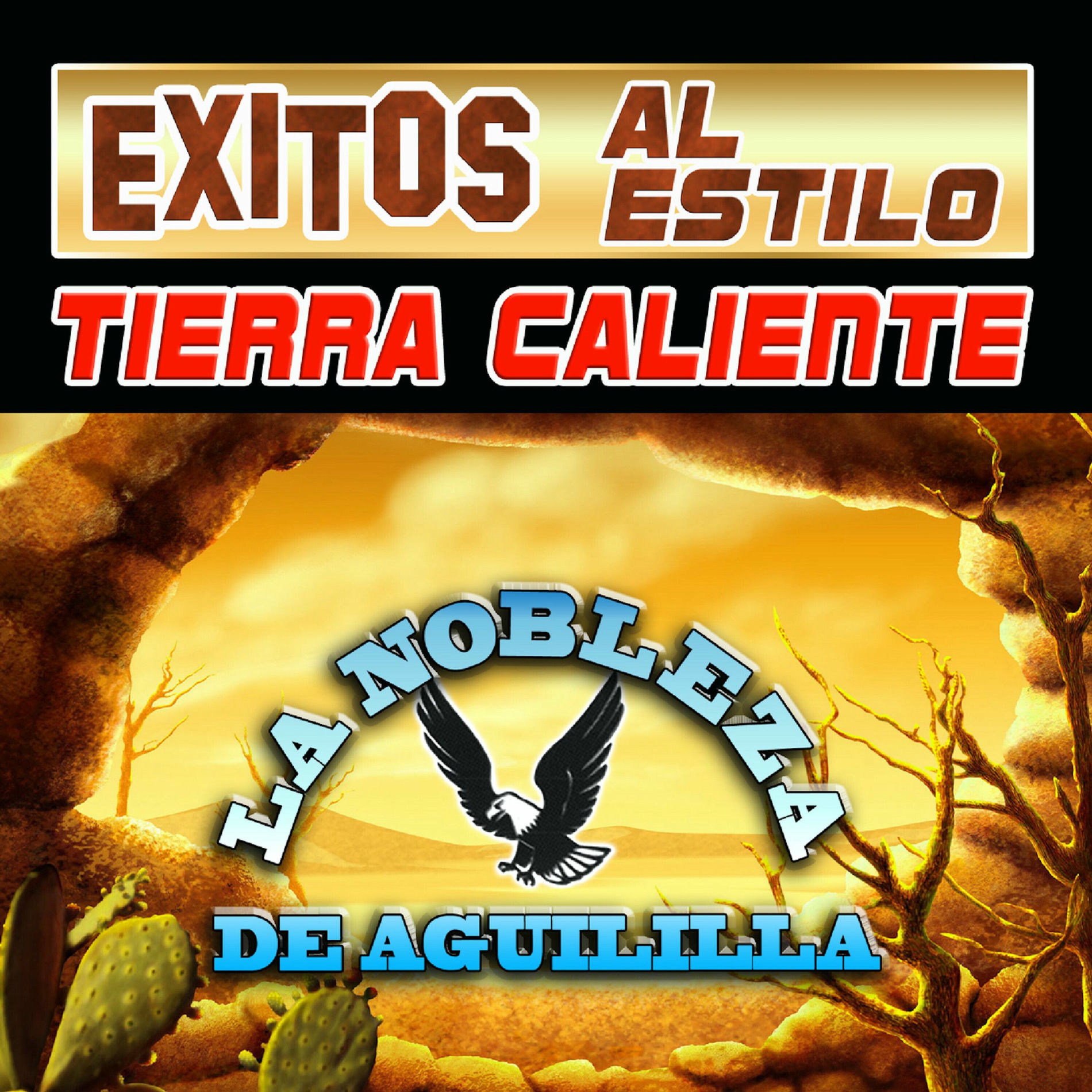 Album cover of Exitos Al Estilo Tierra Cliente