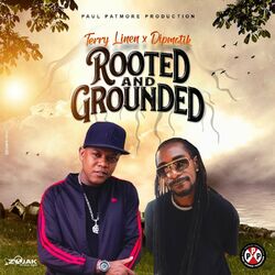 Cover of Rooted and Grounded