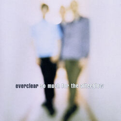 Cover of So Much For The Afterglow