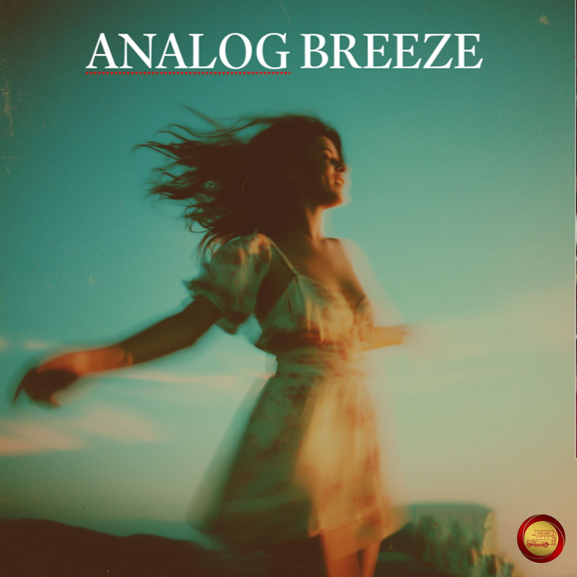 Album cover of Analog Breeze