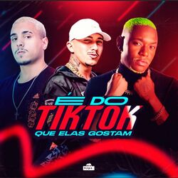 Cover of É do Tiktok Que Elas Gostam