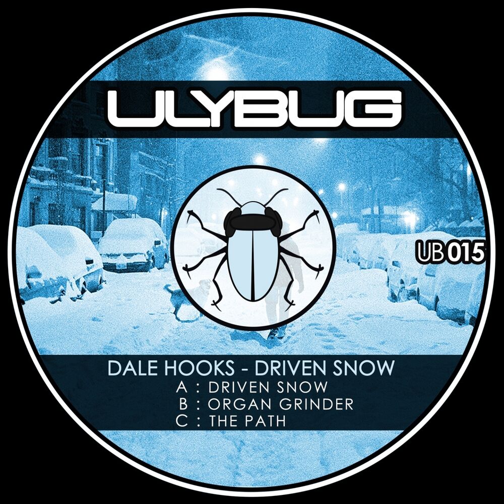 Picture of Driven Snow
