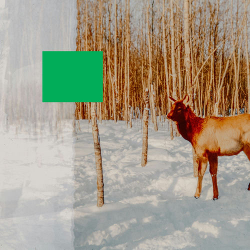 Green Screen artwork