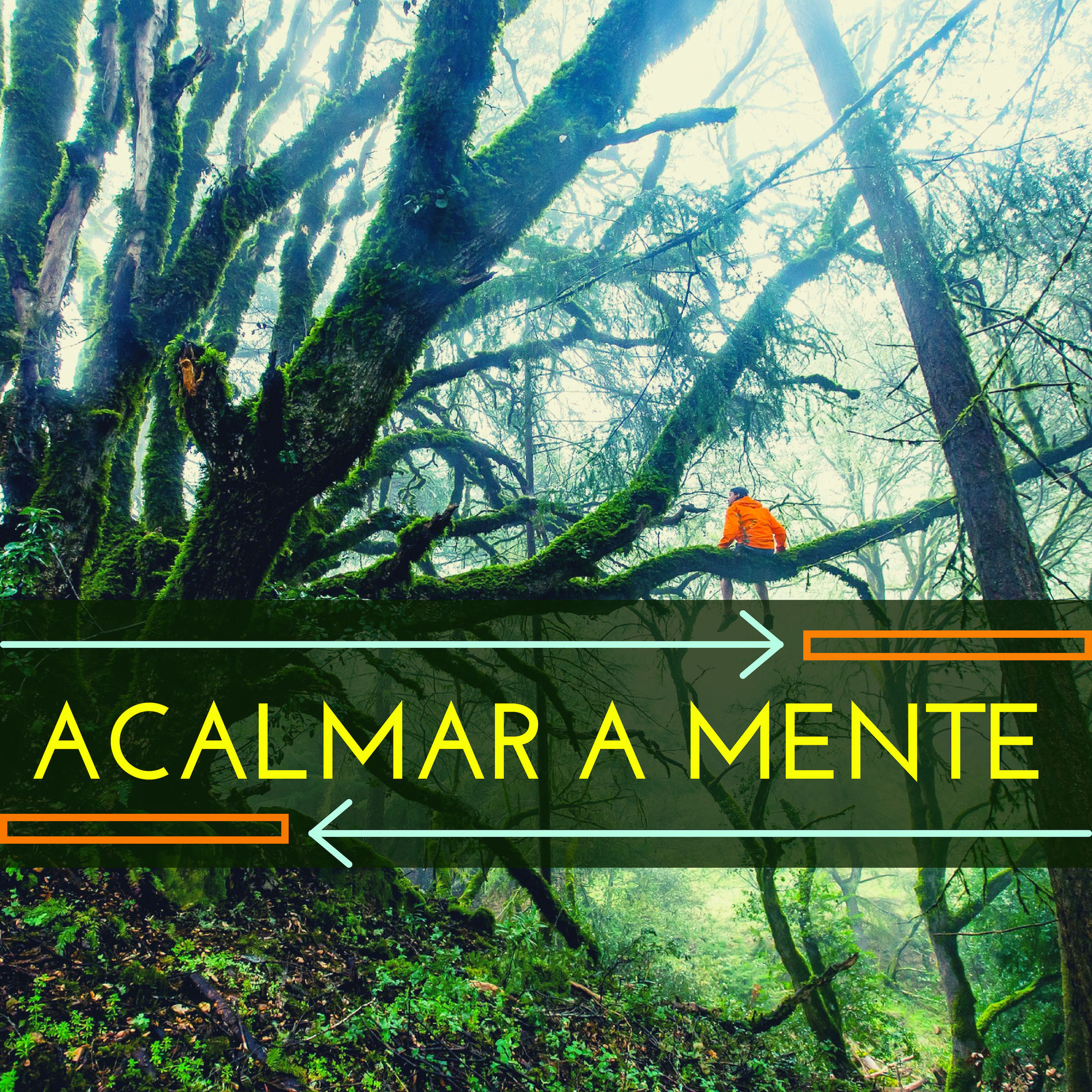 Album cover of Acalmar a Mente – A Melhor Música Relaxante com Sons da Natureza Para Aliviar o Estresse, Zen Massagem Terapêutica e Descansar