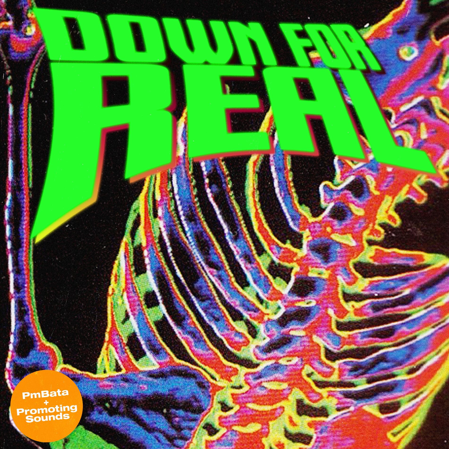 Album cover of Down For Real