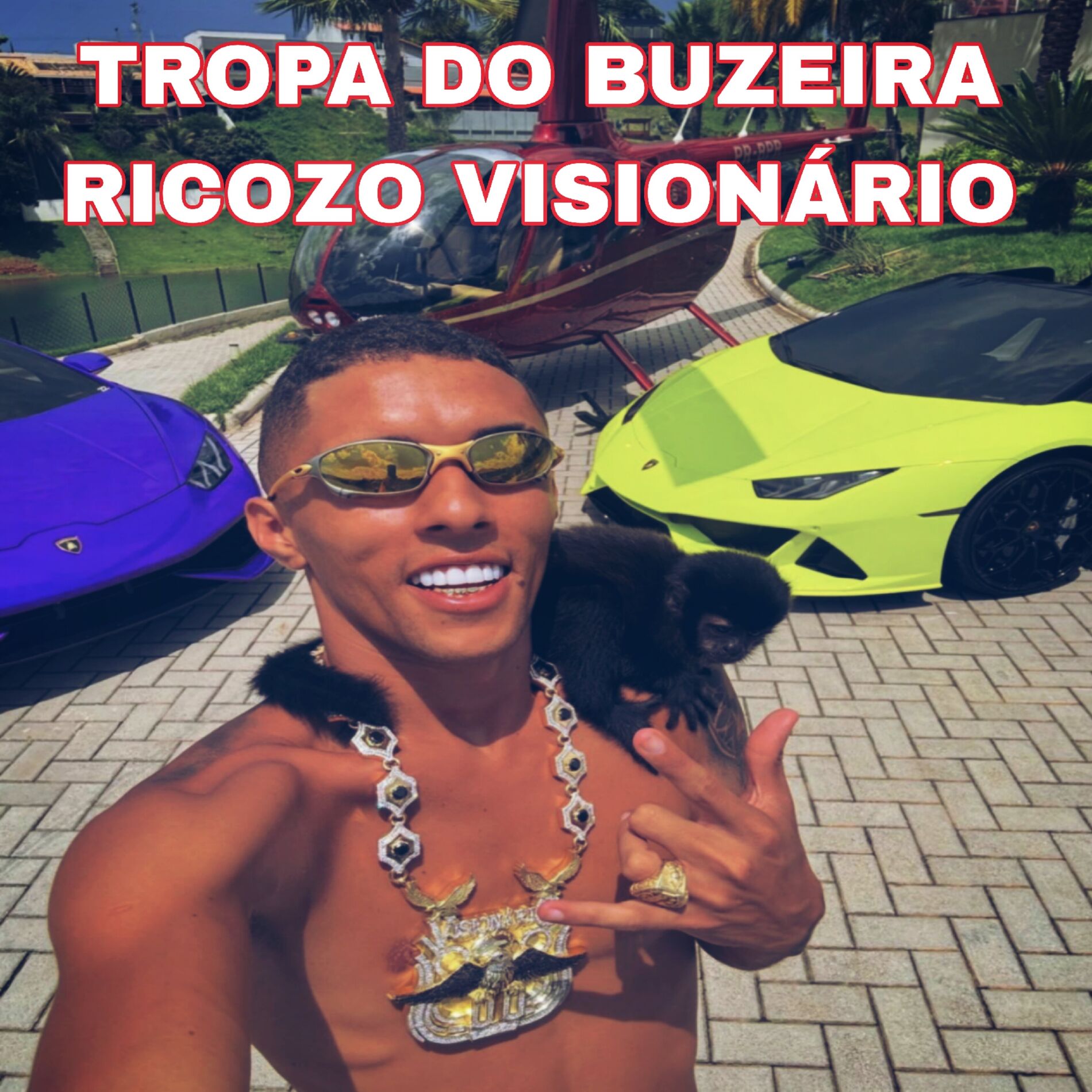 Album cover of Tropa do Buzeira Ricozo Visionário
