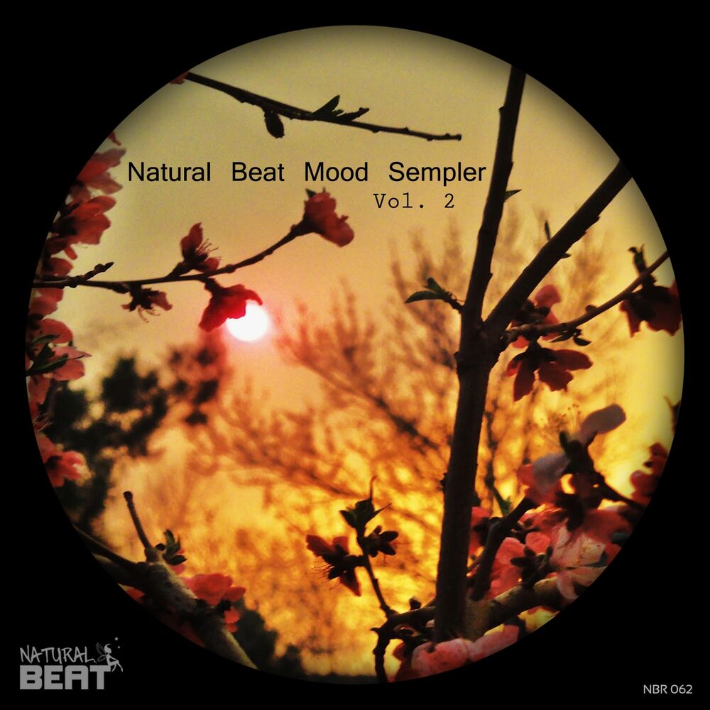 Picture of Natural Beat Mood Sampler, Vol. 2