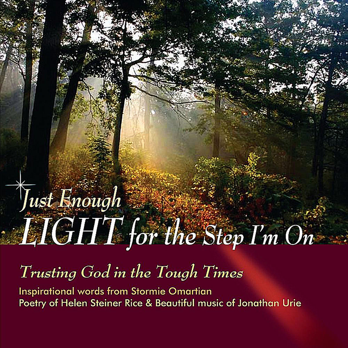 Album cover of Just Enough Light for the Step I'm On