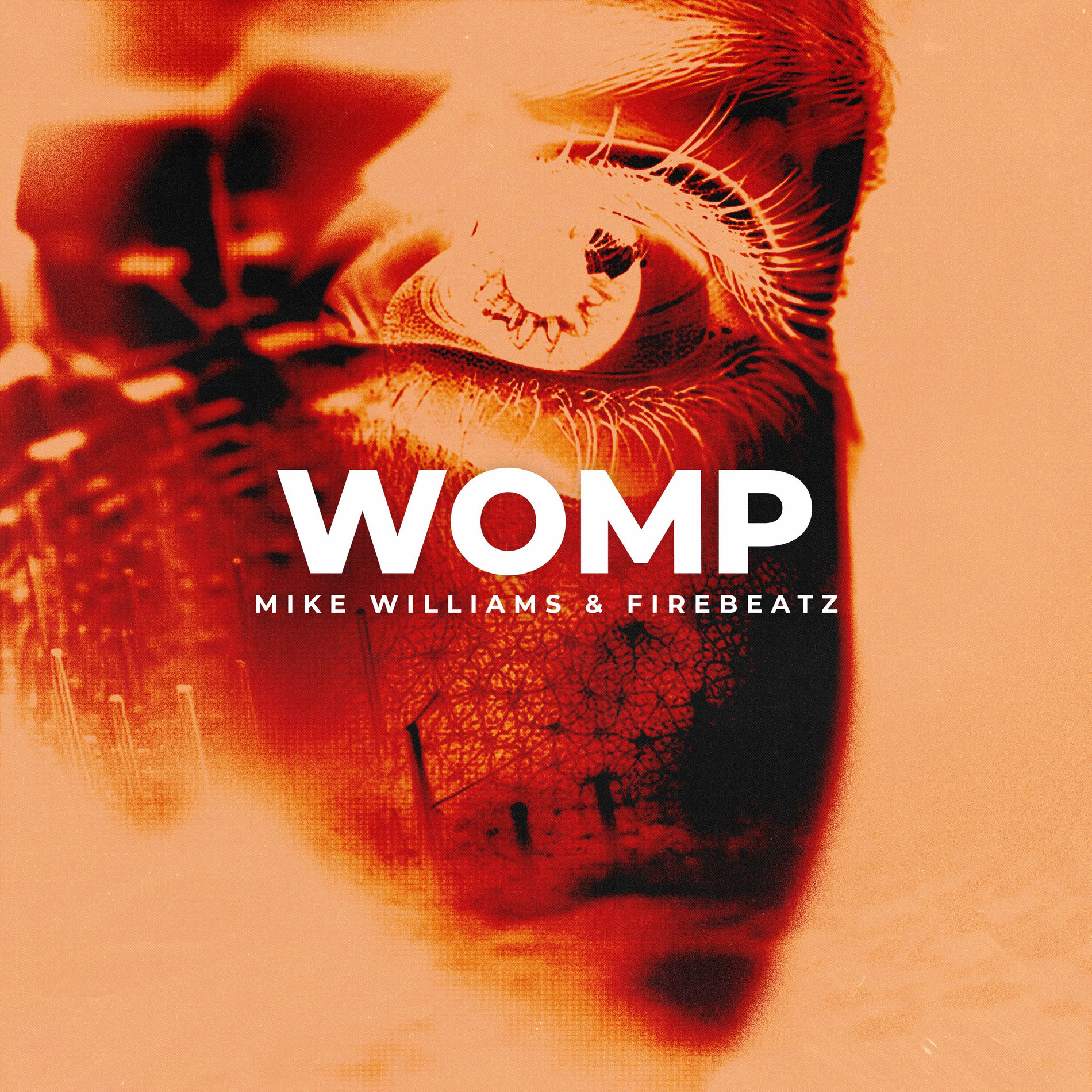 Album cover of Womp