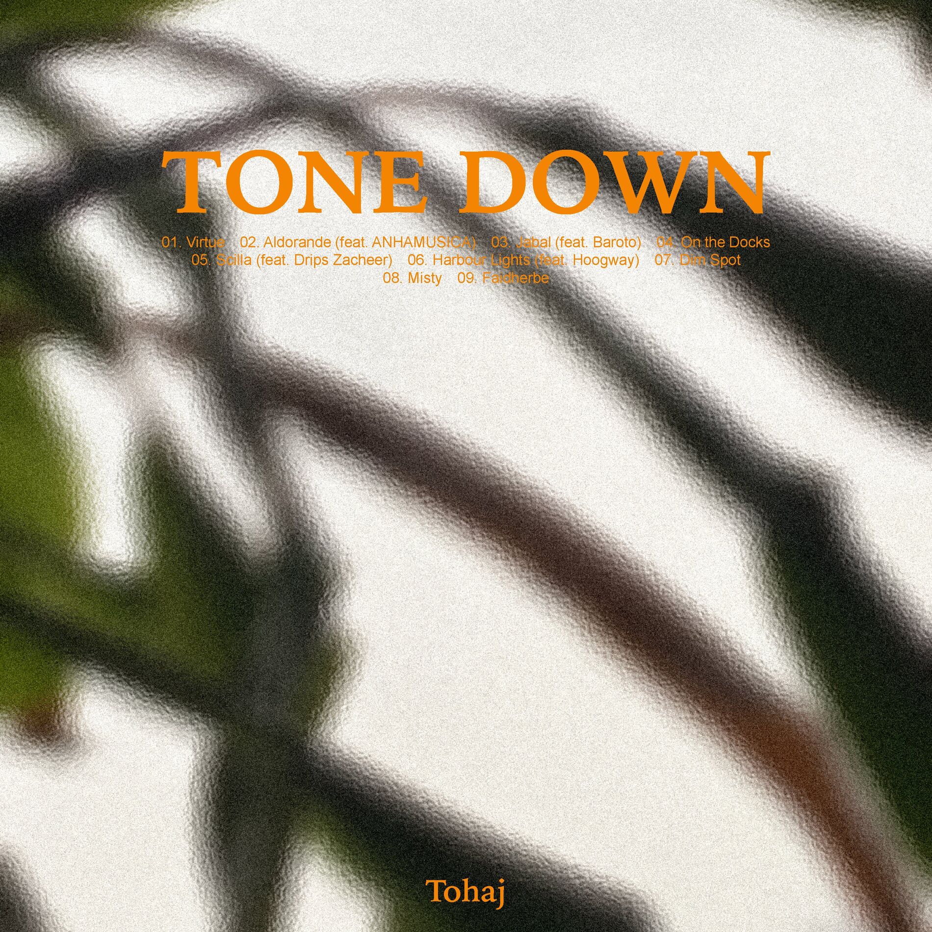 Album cover of Tone Down