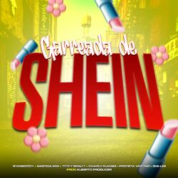 Cover of Garreada De Shein (feat. Charly Flames, Starboooy., Alberto Producer, Brau Y Tito)