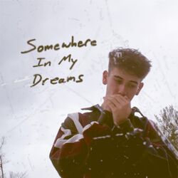 Cover of Somewhere in My Dreams