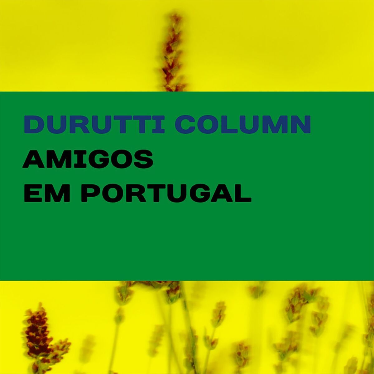 Album cover of Amigos em Portugal