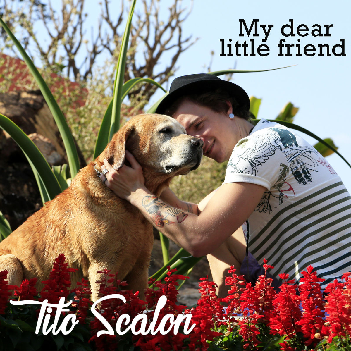 Album cover of My Dear Little Friend