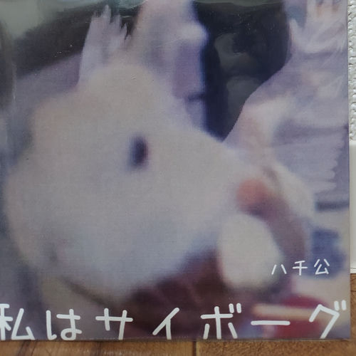 私はサイボーグ